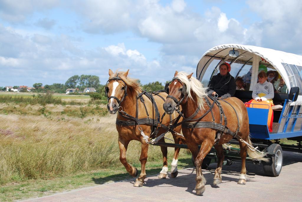 Doppelhaushaelfte In Vitte Auf Hiddensee Экстерьер фото